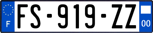 FS-919-ZZ