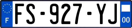 FS-927-YJ