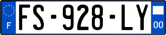 FS-928-LY