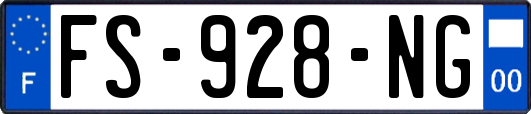 FS-928-NG