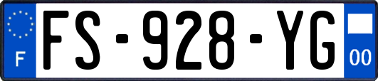 FS-928-YG
