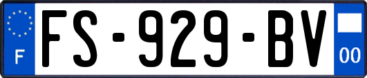 FS-929-BV