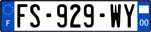 FS-929-WY