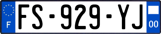 FS-929-YJ