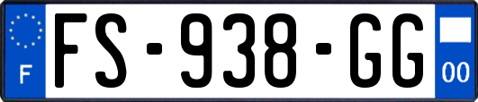 FS-938-GG