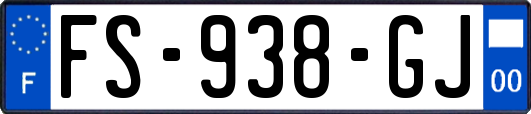 FS-938-GJ