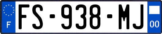 FS-938-MJ