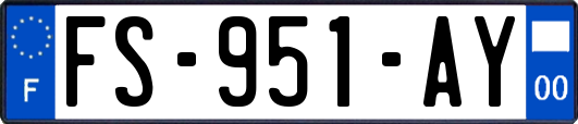 FS-951-AY