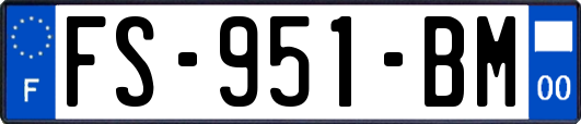 FS-951-BM