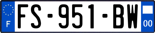 FS-951-BW