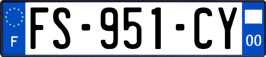FS-951-CY