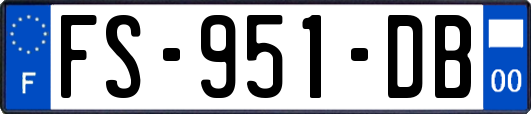 FS-951-DB