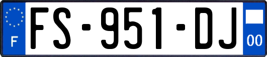 FS-951-DJ