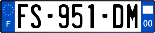 FS-951-DM