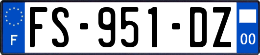 FS-951-DZ