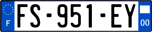 FS-951-EY