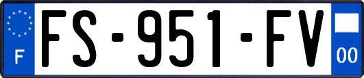 FS-951-FV