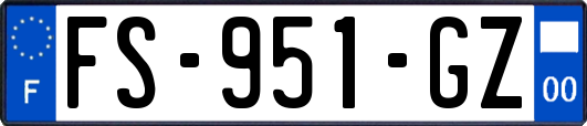 FS-951-GZ