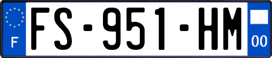FS-951-HM