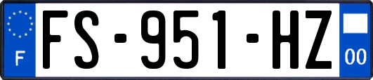 FS-951-HZ