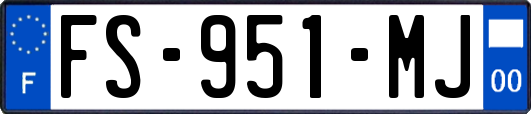 FS-951-MJ