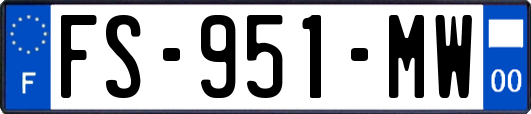FS-951-MW