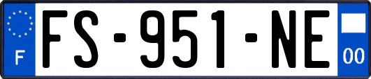 FS-951-NE