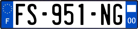 FS-951-NG