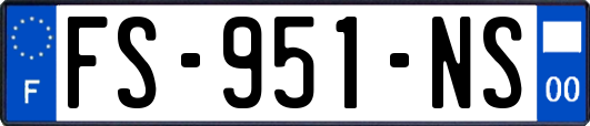 FS-951-NS