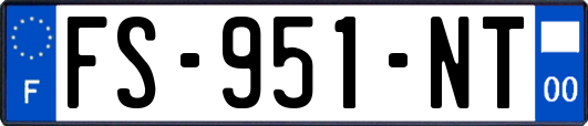 FS-951-NT