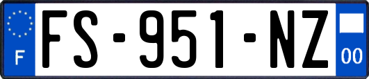 FS-951-NZ