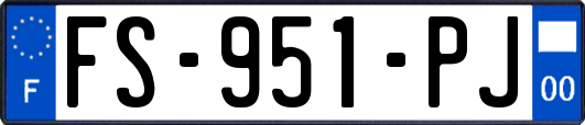 FS-951-PJ