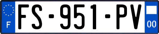 FS-951-PV