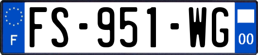 FS-951-WG
