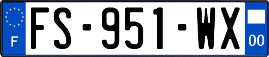 FS-951-WX