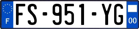 FS-951-YG