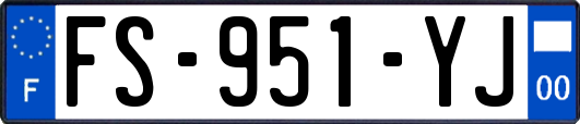 FS-951-YJ