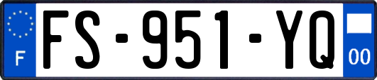 FS-951-YQ