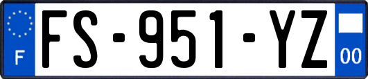 FS-951-YZ