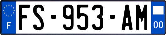 FS-953-AM