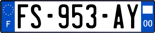 FS-953-AY