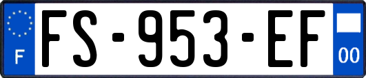 FS-953-EF