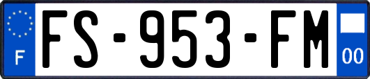 FS-953-FM