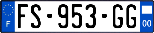 FS-953-GG