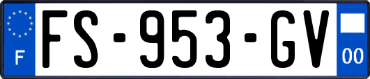 FS-953-GV