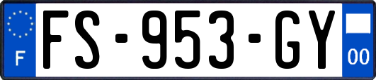 FS-953-GY