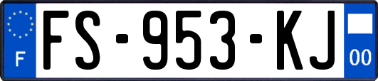 FS-953-KJ