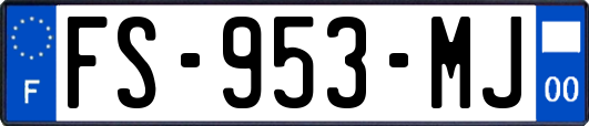 FS-953-MJ