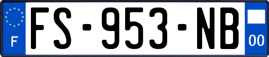 FS-953-NB