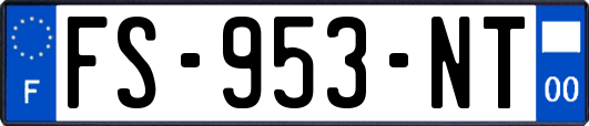 FS-953-NT